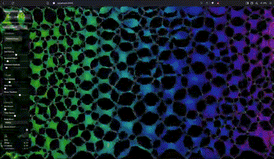 Voronoi Studies